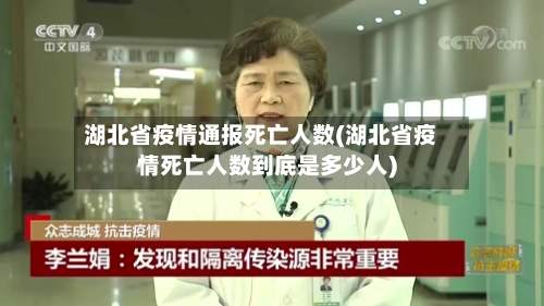 湖北省疫情通报死亡人数(湖北省疫情死亡人数到底是多少人)-第1张图片