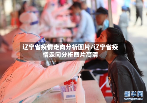 辽宁省疫情走向分析图片/辽宁省疫情走向分析图片高清-第3张图片