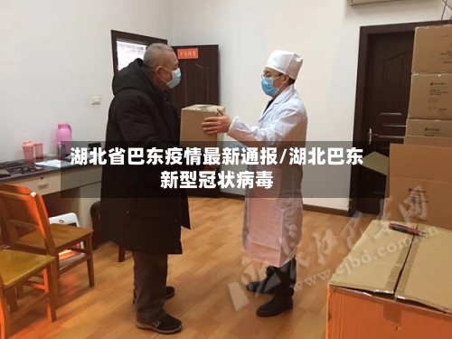 湖北省巴东疫情最新通报/湖北巴东新型冠状病毒-第2张图片