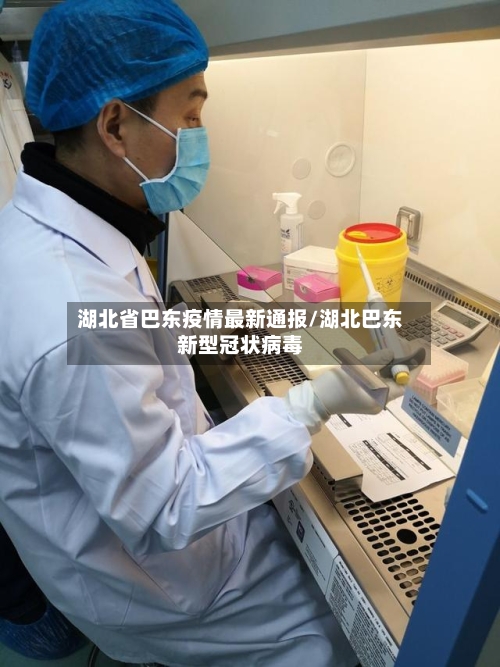 湖北省巴东疫情最新通报/湖北巴东新型冠状病毒-第1张图片