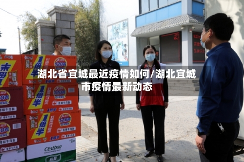 湖北省宜城最近疫情如何/湖北宜城市疫情最新动态-第2张图片