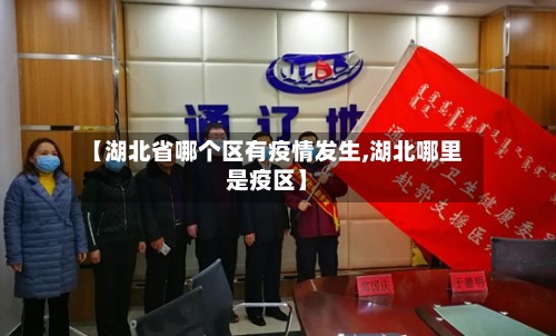 【湖北省哪个区有疫情发生,湖北哪里是疫区】-第1张图片