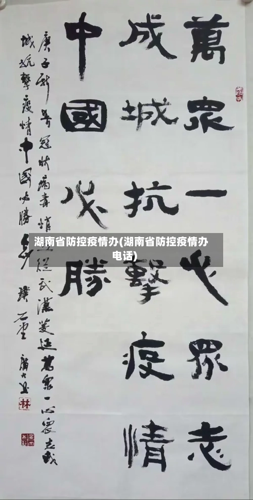 湖南省防控疫情办(湖南省防控疫情办电话)-第1张图片