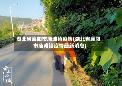 湖北省襄阳市庙滩镇疫情(湖北省襄阳市庙滩镇疫情最新消息)-第1张图片