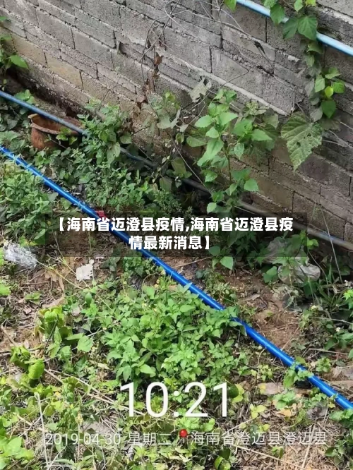 【海南省迈澄县疫情,海南省迈澄县疫情最新消息】-第2张图片