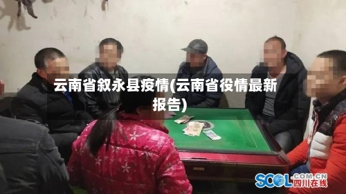 云南省叙永县疫情(云南省役情最新报告)-第3张图片