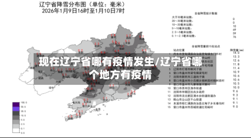 现在辽宁省哪有疫情发生/辽宁省哪个地方有疫情-第3张图片