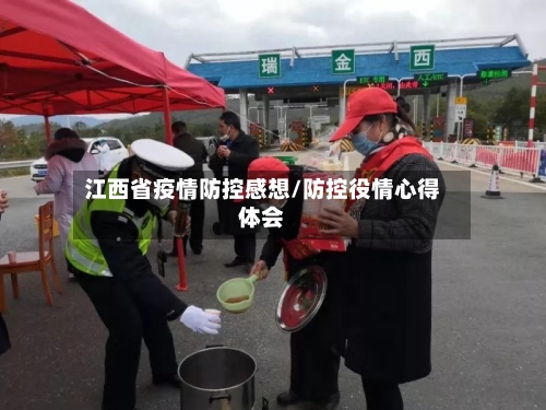 江西省疫情防控感想/防控役情心得体会-第2张图片