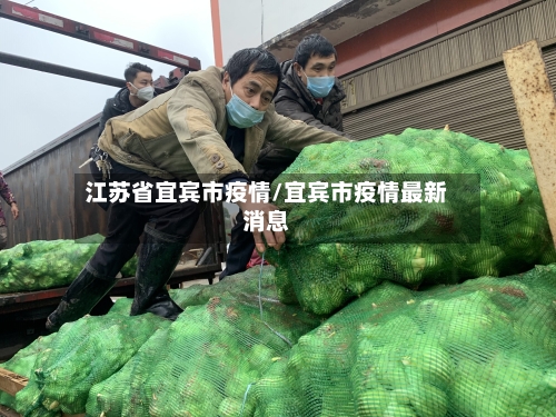 江苏省宜宾市疫情/宜宾市疫情最新消息-第3张图片