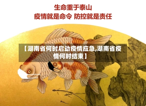 【湖南省何时启动疫情应急,湖南省疫情何时结束】-第1张图片