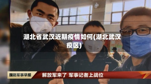 湖北省武汉近期疫情如何(湖北武汉疫区)-第2张图片