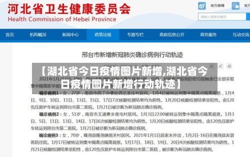 【湖北省今日疫情图片新增,湖北省今日疫情图片新增行动轨迹】-第2张图片