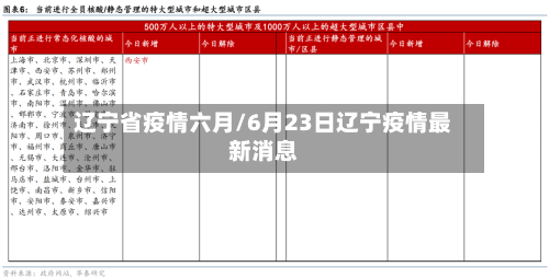 辽宁省疫情六月/6月23日辽宁疫情最新消息-第3张图片