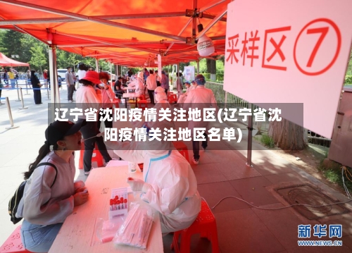 辽宁省沈阳疫情关注地区(辽宁省沈阳疫情关注地区名单)-第1张图片