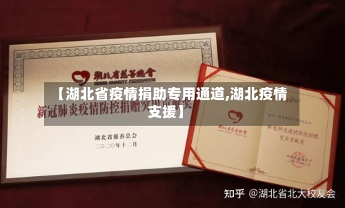 【湖北省疫情捐助专用通道,湖北疫情支援】-第3张图片