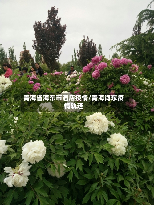 青海省海东市酒店疫情/青海海东疫情轨迹-第3张图片