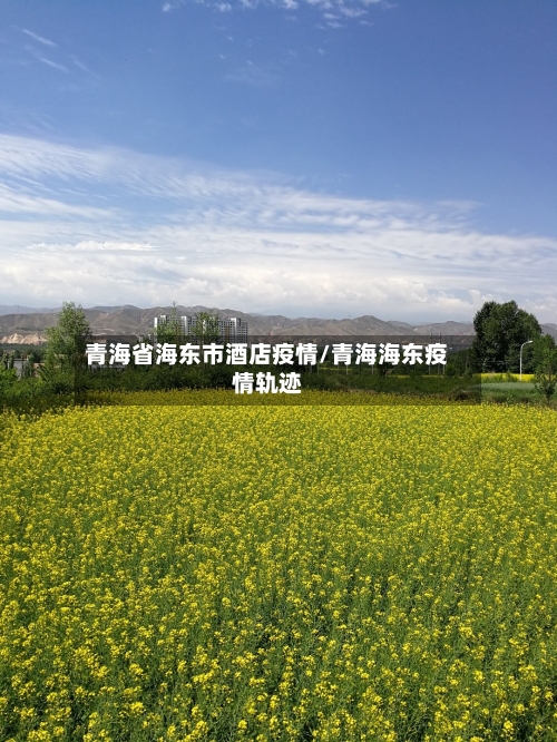 青海省海东市酒店疫情/青海海东疫情轨迹-第1张图片