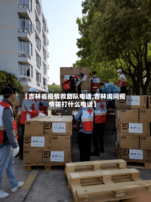 【吉林省疫情救助队电话,吉林询问疫情拨打什么电话】-第1张图片