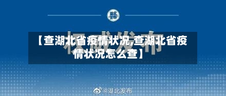 【查湖北省疫情状况,查湖北省疫情状况怎么查】-第3张图片