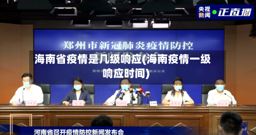 海南省疫情是几级响应(海南疫情一级响应时间)-第1张图片