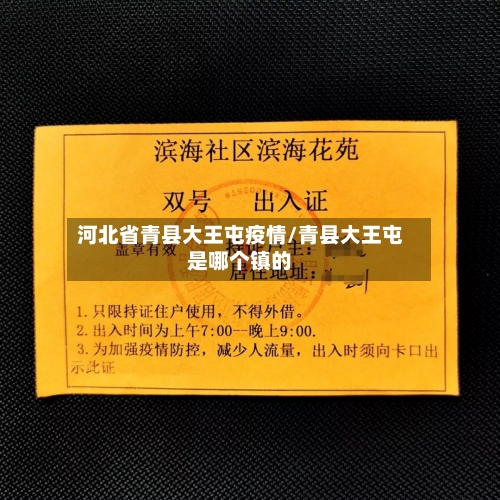 河北省青县大王屯疫情/青县大王屯是哪个镇的-第1张图片