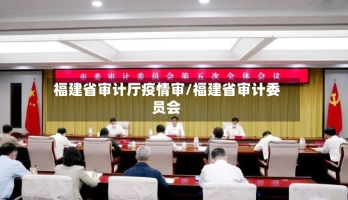福建省审计厅疫情审/福建省审计委员会-第2张图片