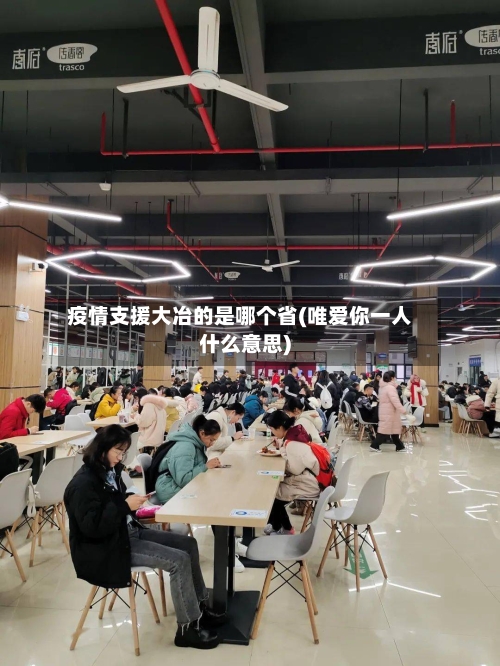疫情支援大冶的是哪个省(唯爱你一人什么意思)-第3张图片