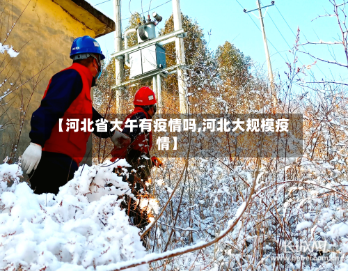 【河北省大午有疫情吗,河北大规模疫情】-第2张图片