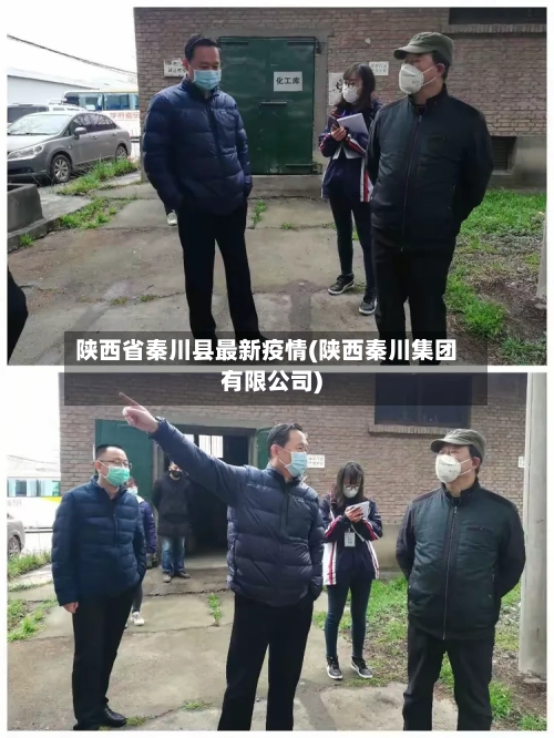 陕西省秦川县最新疫情(陕西秦川集团有限公司)-第2张图片