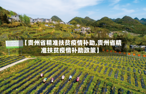 【贵州省精准扶贫疫情补助,贵州省精准扶贫疫情补助政策】-第3张图片