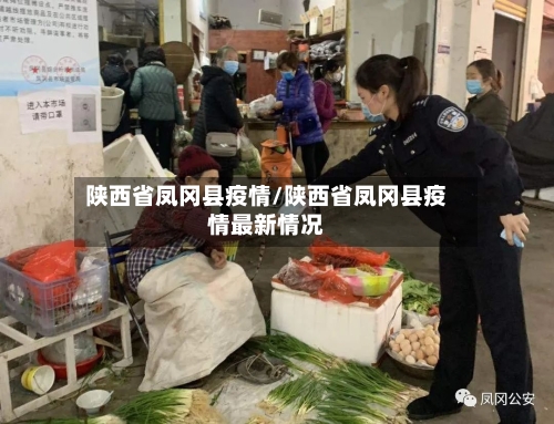 陕西省凤冈县疫情/陕西省凤冈县疫情最新情况-第3张图片