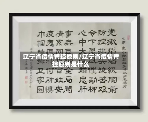 辽宁省疫情管控原则/辽宁省疫情管控原则是什么-第1张图片