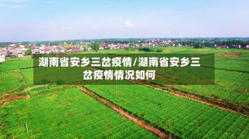 湖南省安乡三岔疫情/湖南省安乡三岔疫情情况如何-第3张图片