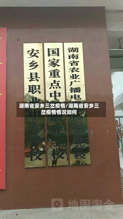 湖南省安乡三岔疫情/湖南省安乡三岔疫情情况如何-第2张图片