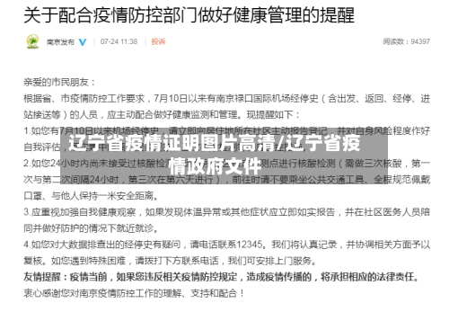 辽宁省疫情证明图片高清/辽宁省疫情政府文件-第2张图片