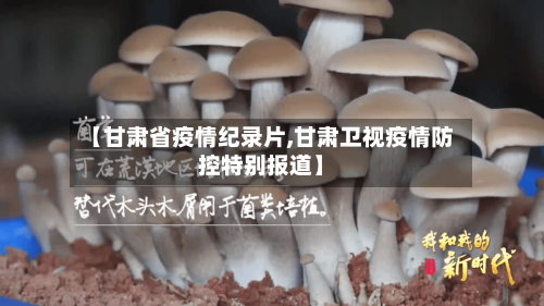 【甘肃省疫情纪录片,甘肃卫视疫情防控特别报道】-第2张图片