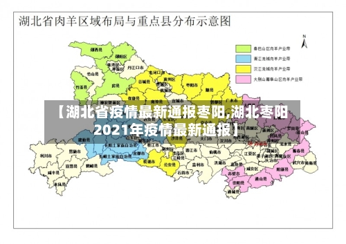 【湖北省疫情最新通报枣阳,湖北枣阳2021年疫情最新通报】-第1张图片