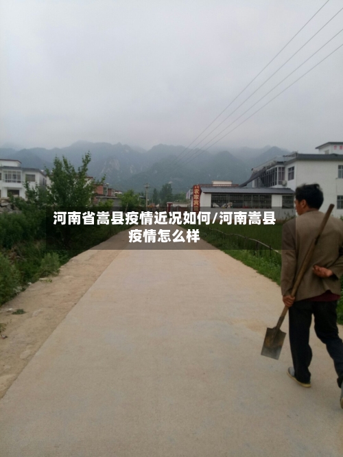 河南省嵩县疫情近况如何/河南嵩县疫情怎么样-第1张图片