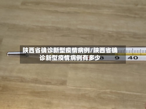 陕西省确诊新型疫情病例/陕西省确诊新型疫情病例有多少-第2张图片