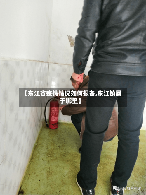 【东江省疫情情况如何报备,东江镇属于哪里】-第2张图片