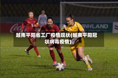 越南平阳省工厂疫情现状(越南平阳冠状病毒疫情)-第1张图片