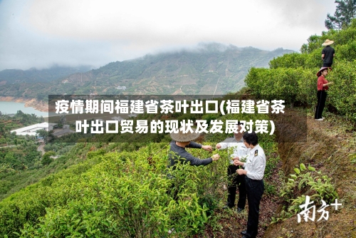 疫情期间福建省茶叶出口(福建省茶叶出口贸易的现状及发展对策)-第1张图片