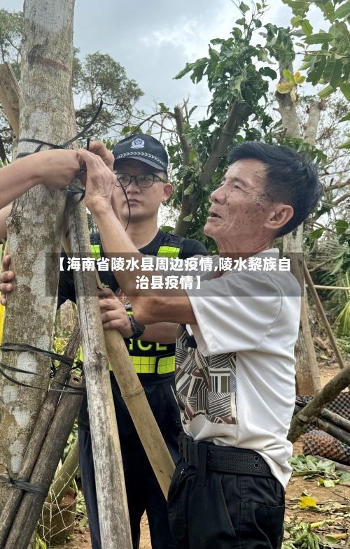 【海南省陵水县周边疫情,陵水黎族自治县疫情】-第2张图片