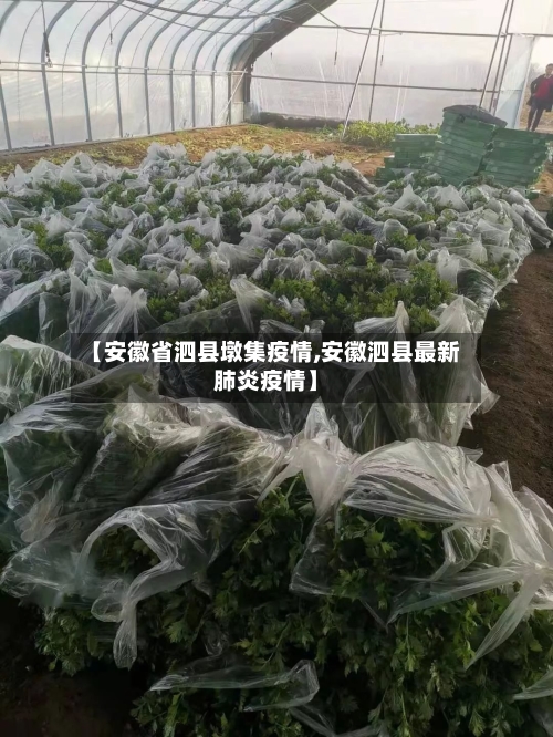 【安徽省泗县墩集疫情,安徽泗县最新肺炎疫情】-第1张图片