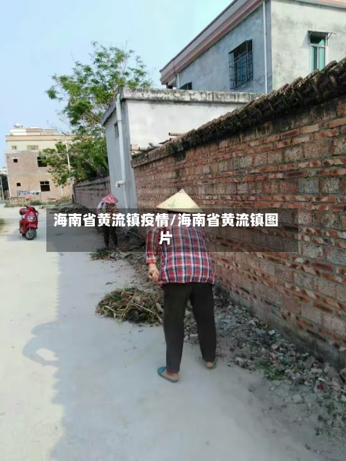 海南省黄流镇疫情/海南省黄流镇图片-第1张图片