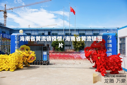 海南省黄流镇疫情/海南省黄流镇图片-第2张图片