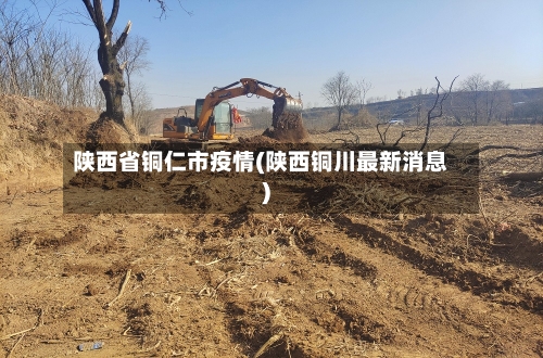 陕西省铜仁市疫情(陕西铜川最新消息)-第1张图片