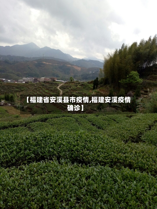 【福建省安溪县市疫情,福建安溪疫情确诊】-第1张图片
