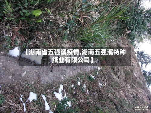 【湖南省五强溪疫情,湖南五强溪特种纸业有限公司】-第1张图片