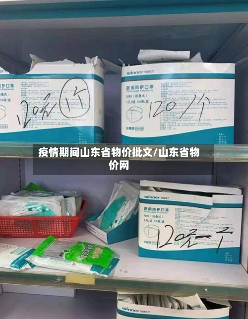 疫情期间山东省物价批文/山东省物价网-第1张图片